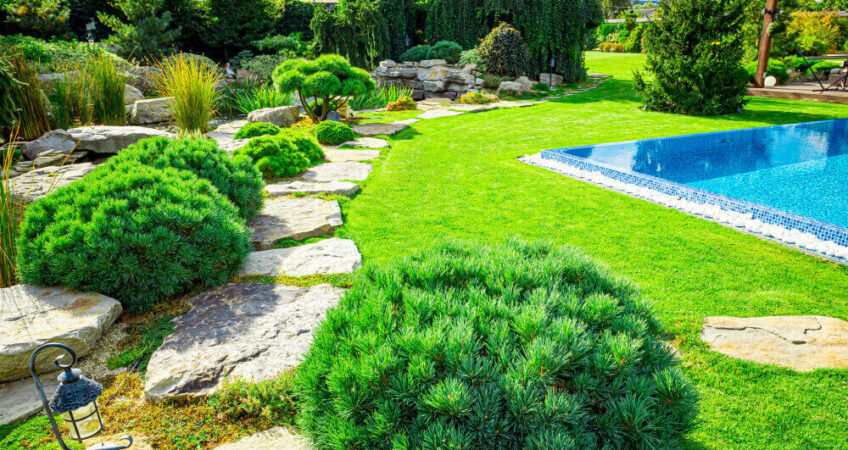 Landscape design plans