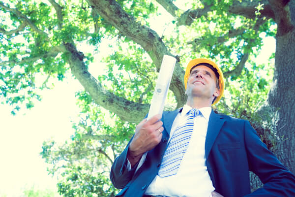 Projects that require landscaping permits