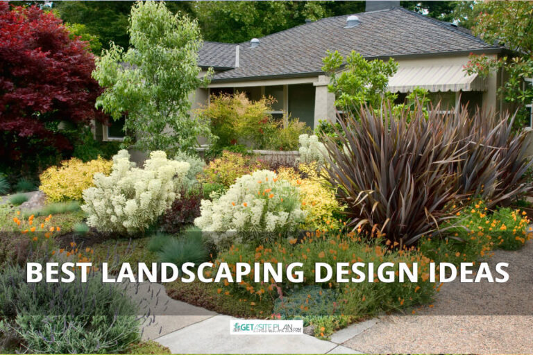 Best landscaping ideas