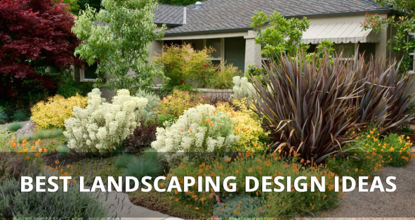 Best landscaping ideas
