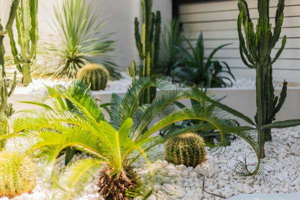 Drought-Tolerant and Xeriscape Landscaping Ideas xeriscape landscaping with gravel, drought-resistant plants, and stone