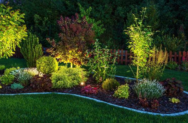 landscape lighting highlighting pathways, shrubs, and trees at night