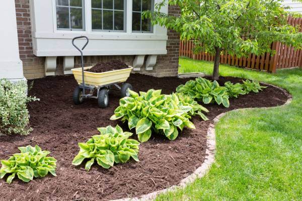 Landscaping Ideas on a Budget budget landscaping idea with mulch, gravel, and native shrubs