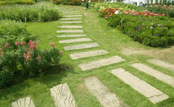 Native Plant Landscaping Ideas native plant landscaping with wildflowers, shrubs, and natural mulch