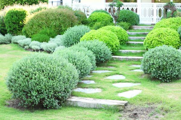 Sloped Yard Landscaping Ideas sloped yard landscaping with terraces, stone steps, and shrubs