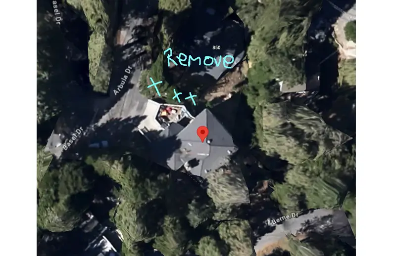 Sketch For Tree Removal Permit